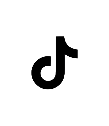 tiktok icon